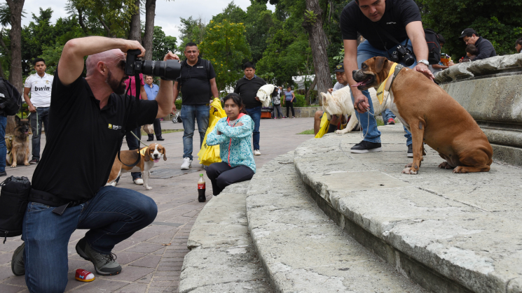 Llega el Nikon Foto Quest Tour 2018 a Oaxaca 