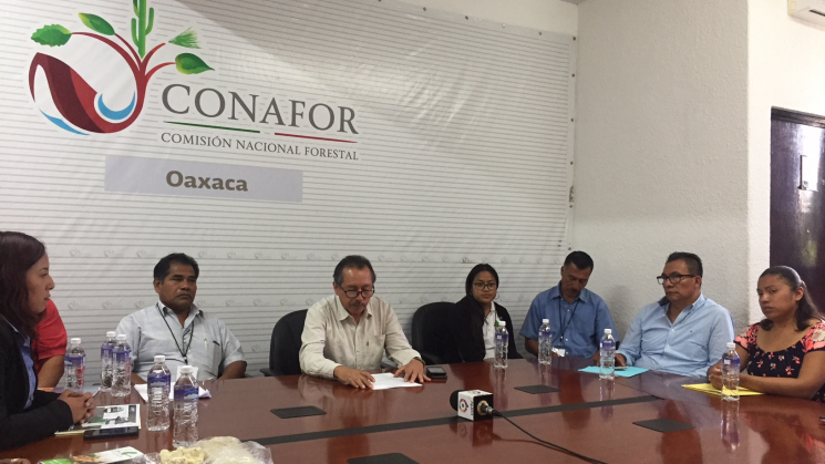 Participará Oaxaca en la Expo Forestal 2018