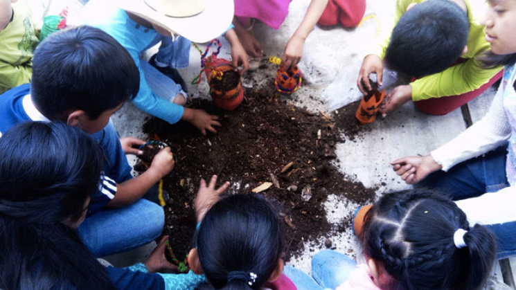 Día del Amaranto 2018: Quince Años de Trabajo Comunitario