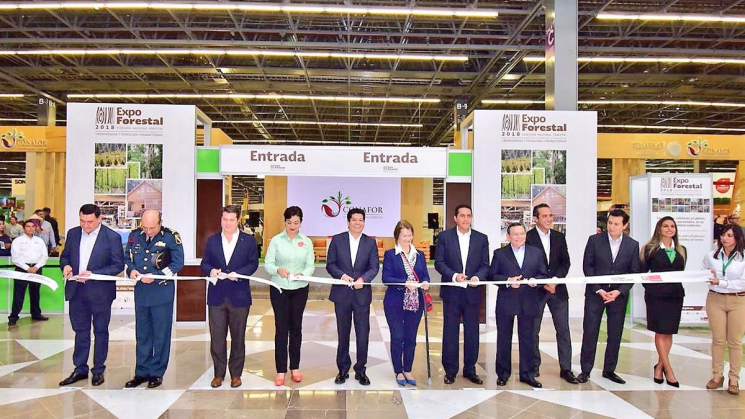 Reúne Expo Forestal 2018 a 11 empresas madereras 