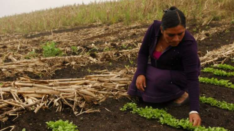 Conmemoran Dia de la Mujer Rural