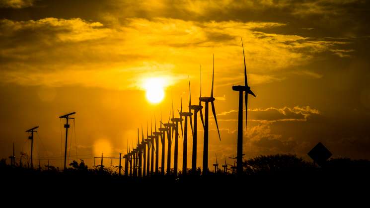 Oaxaca, líder nacional en generación de energía eólica en México