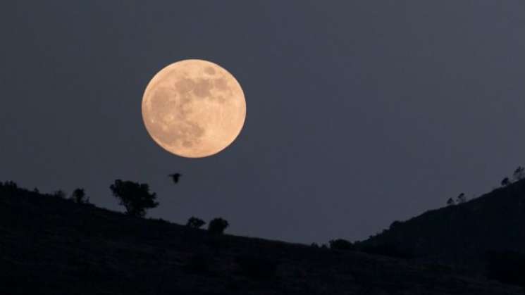 Anuncian luna llena de otoño para hoy Jueves