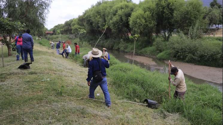 Siembran 130 árboles en las riberas del Río Atoyac 