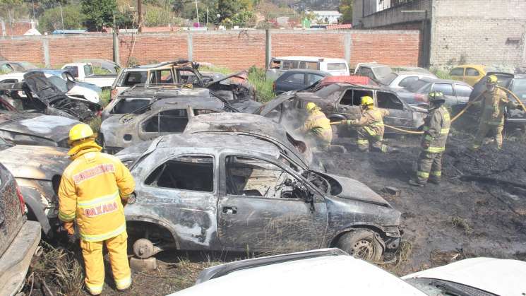  Controlan incendio en el encierro “Primavera” 