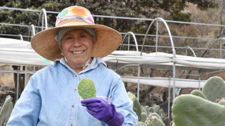  Transformar el nopal para ganar más