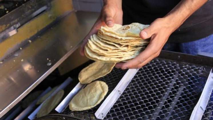 Sube casi 13% la tortilla en ultimo mes