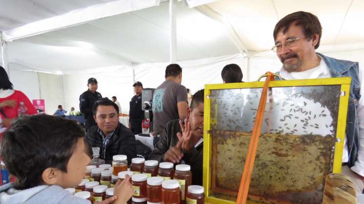  Oaxaca ocupa 5º lugar nacional en producción de miel