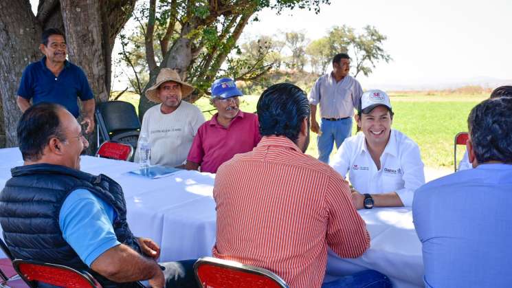 Eficientará Granja Solar de Huixtepec energía eléctrica al campo