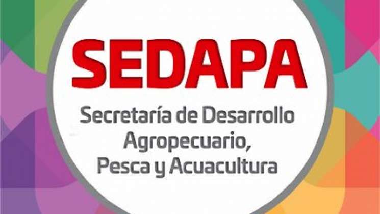 Beneficia Sedapa a más 28 mil familias oaxaqueñas