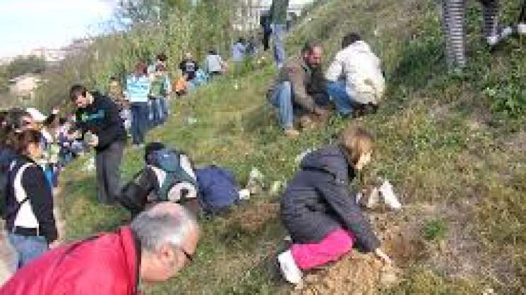 Educación para conservar bosques