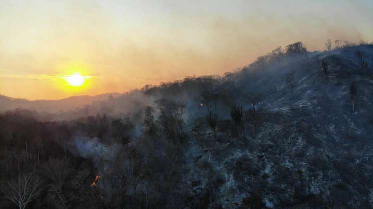 Labor tripartito combate incendios forestales en Oaxaca