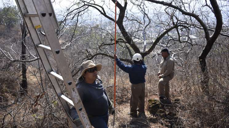 Promueven campaña de saneamiento del Parque “Cerro del Fortín”