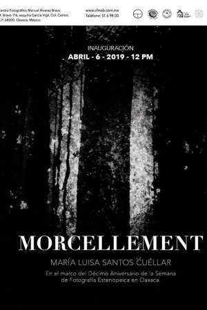 Exhibición: ‘Morcellement’ de María Luisa Santos Cuéllar