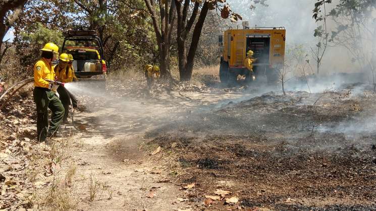 Incendios forestales se intensifican en abril y mayo: CONAFOR