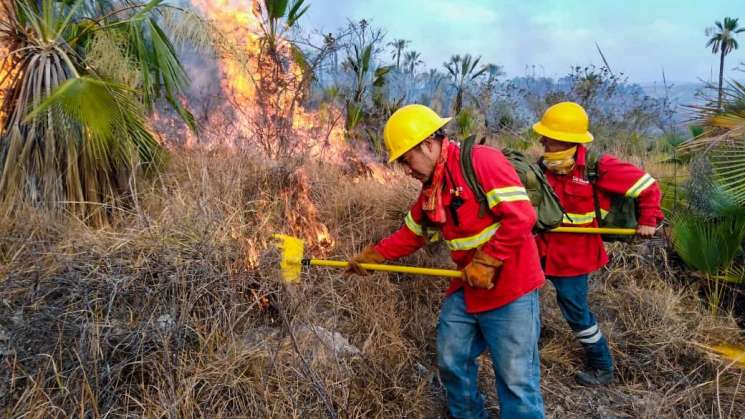 Atiende Coesfo siete incendios forestales