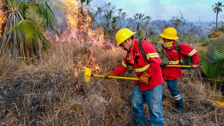 Del 11 al 16 de abril se presentaron 21 incendios en Oaxaca