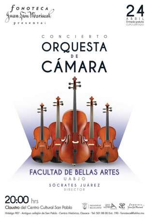 Orquesta de Camara en concierto