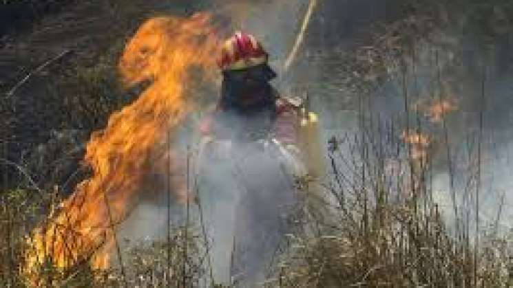 Solicitan declaratoria de emergencia por incendios forestales 