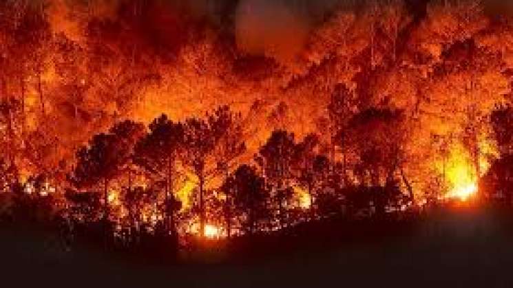 Atiende Coesfo incendios forestales en la entidad