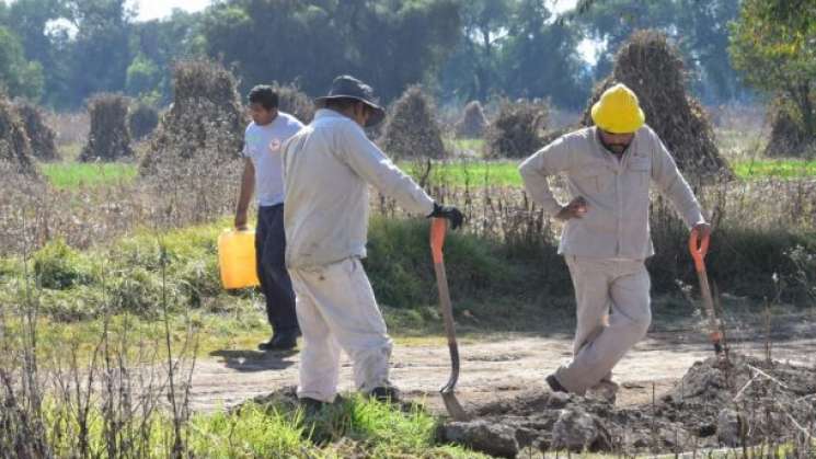 Se reduce a 90% el huachicoleo en el país: AMLO