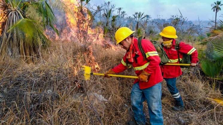 Controlados cinco incendios forestales: Coesfo