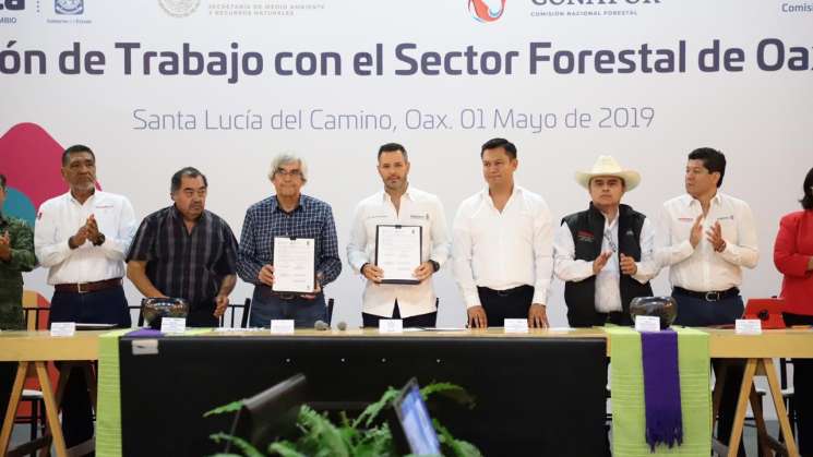 Acuerda Gobierno de Oaxaca y Conafor acciones en materia forestal