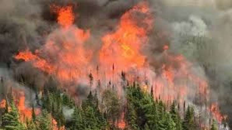 Oaxaca a registrado 193 incendios forestales en lo que va del año