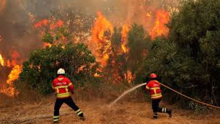 Por incendio suspenden clases 2 municipios de la SierraSsur