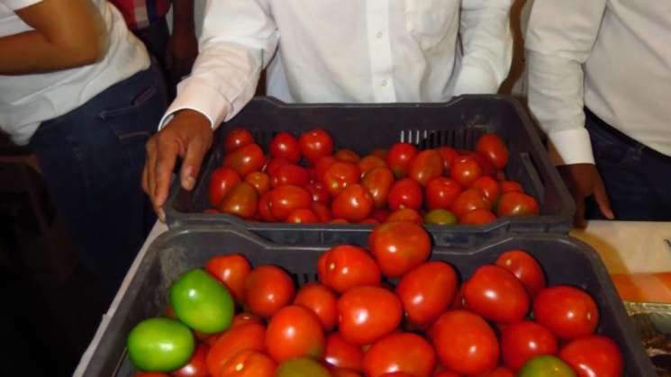 Fortalecerá Oaxaca mercado interno de tomate contra arancel de EU