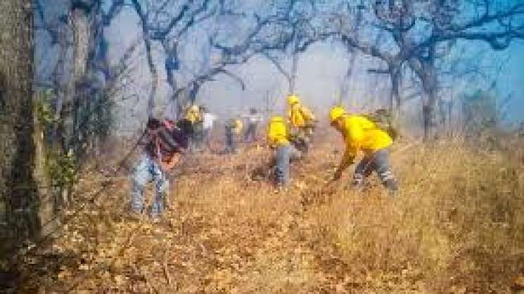 Incendio forestal en San Miguel Chimalapa, liquidado al 100%