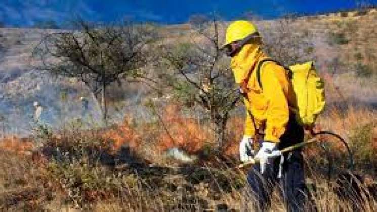 Trabaja Coesfo en el combate de incendios forestales