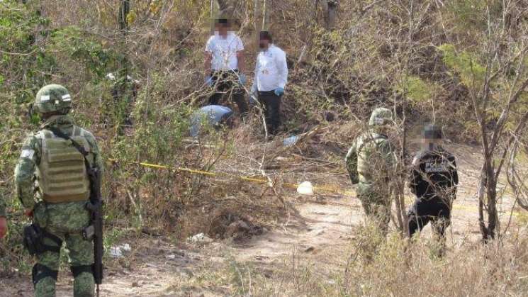 Se hallaron 337 cuerpos de 222 fosas en 6 meses: Segob 