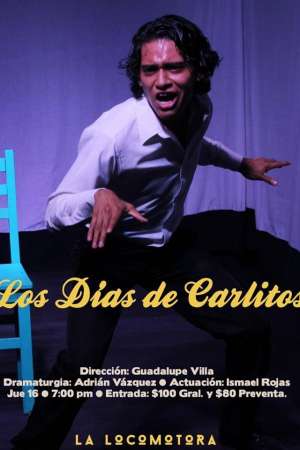 Los dias de carlitos