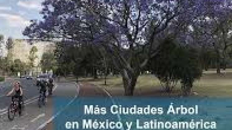  México ingresa a iniciativa Tree Cities of the World 