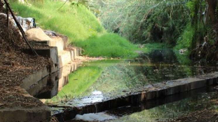 El rio San Felipe es un rio vivo, ciudadanos a su rescate