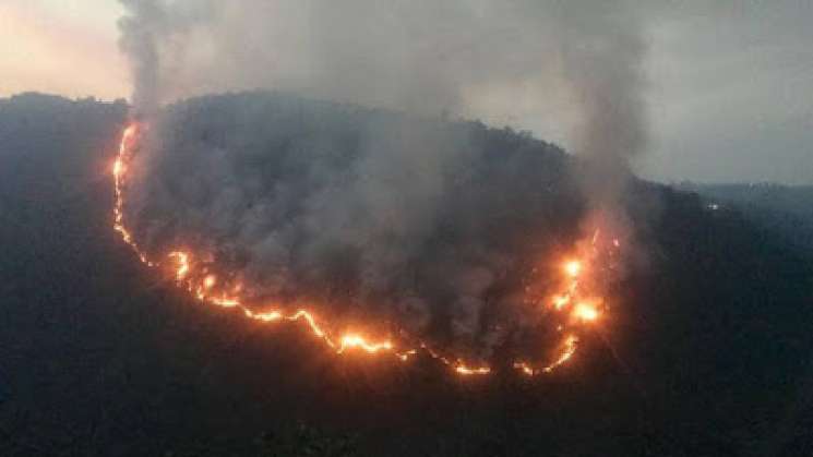 Medidas preventivas para evitar un incendio forestal