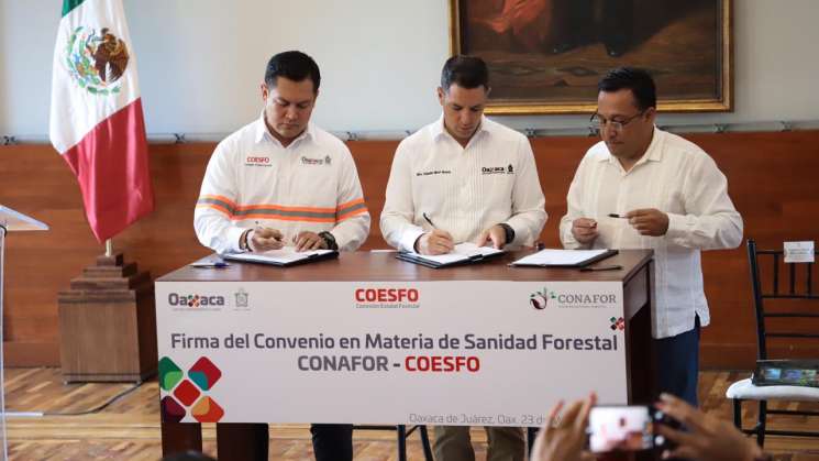 Suman esfuerzos Gobierno y Conafor para salvaguardar bosques