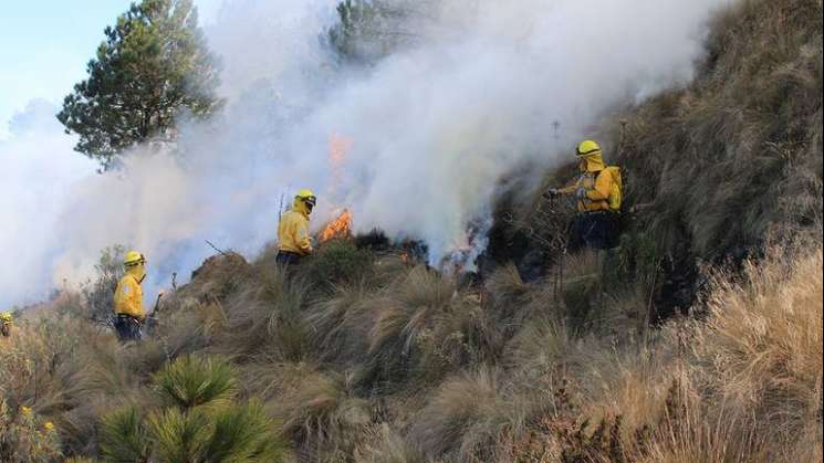 Conafor Registra 115 incendios forestales; 58 están activos