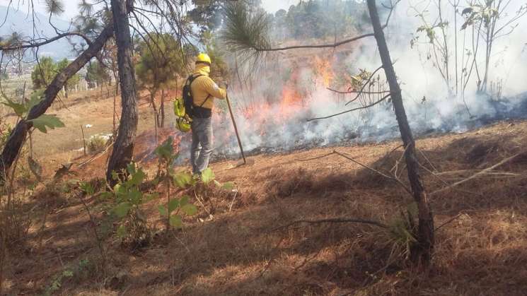 Amenazan a periodista por denunciar incendios provocados