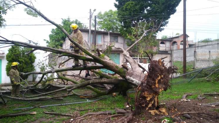 Atienden municipios daños por lluvias: CEPCO