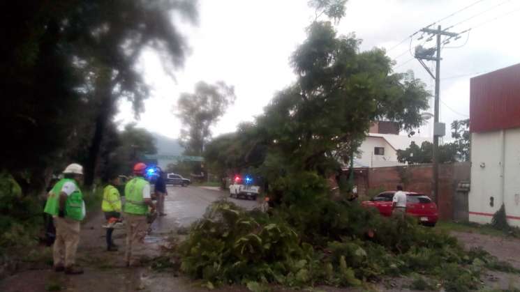 Mantiene CEPCO apoyo a municipios afectados por las lluvias