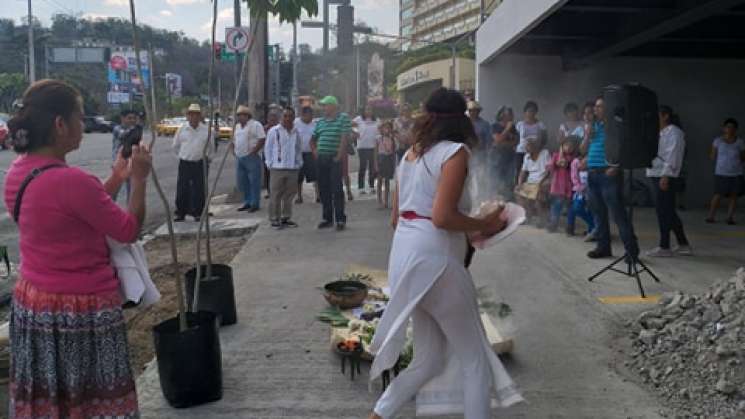 Vecinos del barrio de Xochimilco detienen ecocidio de farmacia