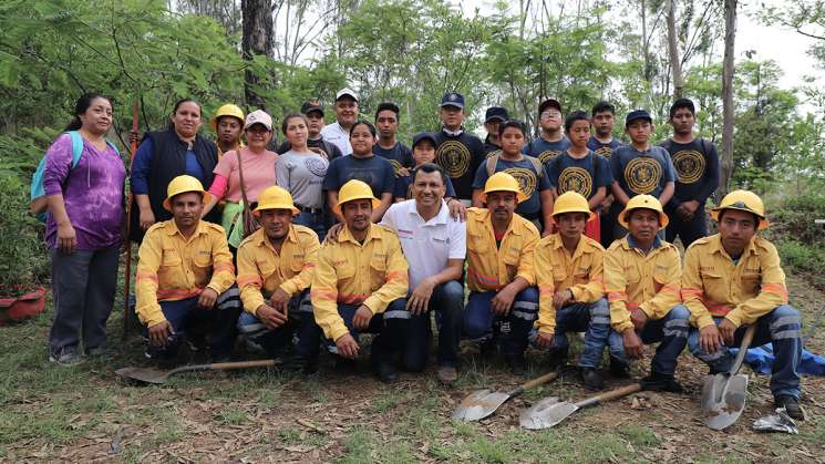 Contribuye Semaedeso en reforestación del Cerro del Fortín