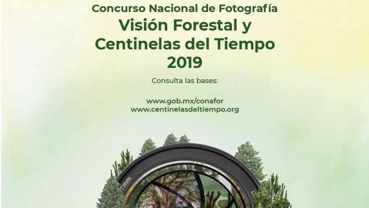 Invita Conafor a Concurso Nacional de Fotografía 