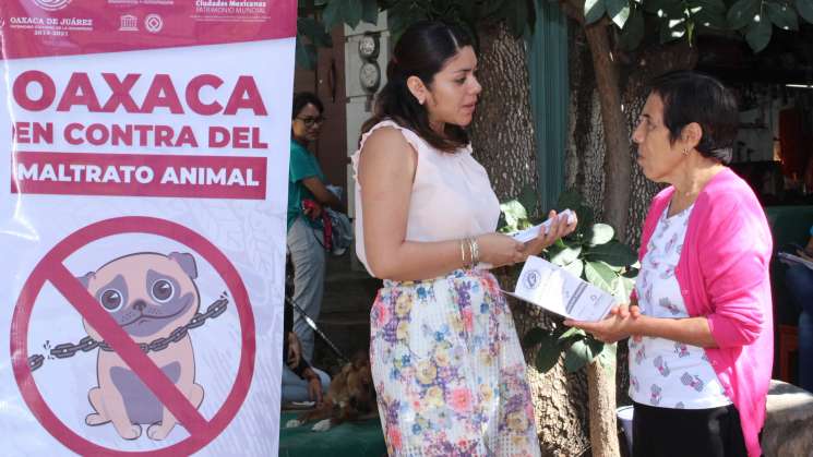 Realizan jornadas de esterilización animal a más colonias 