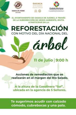 Reforestación en el margen del Río Salado