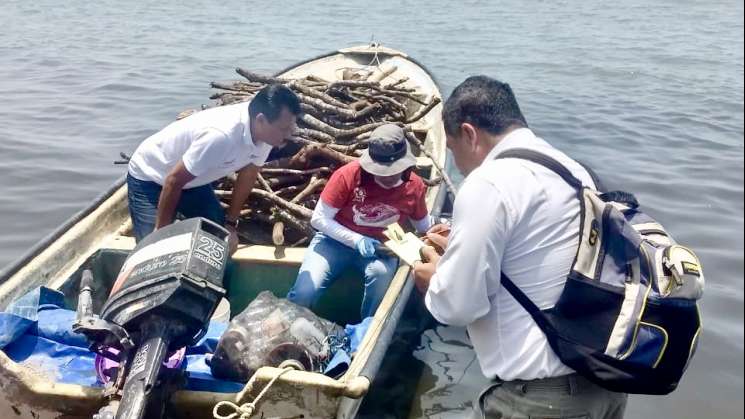 Descarta Semaedeso sargazo en laguna costera en Puerto Vicente