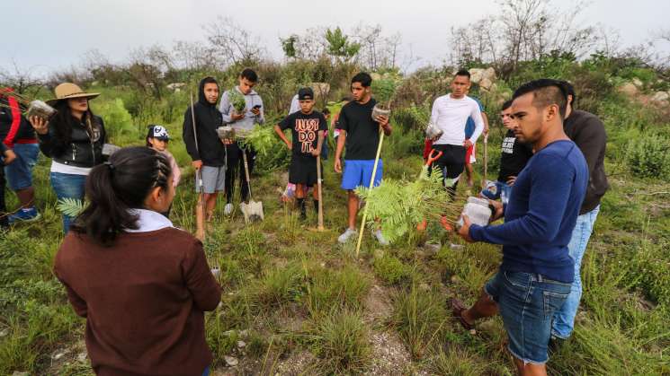 Alebrijes de Oaxaca se suma a campaña de reforestación