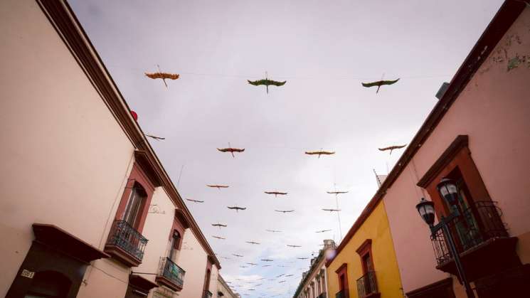 Invitan a levantar la mirada   “Aves sin paraíso” en corredor 